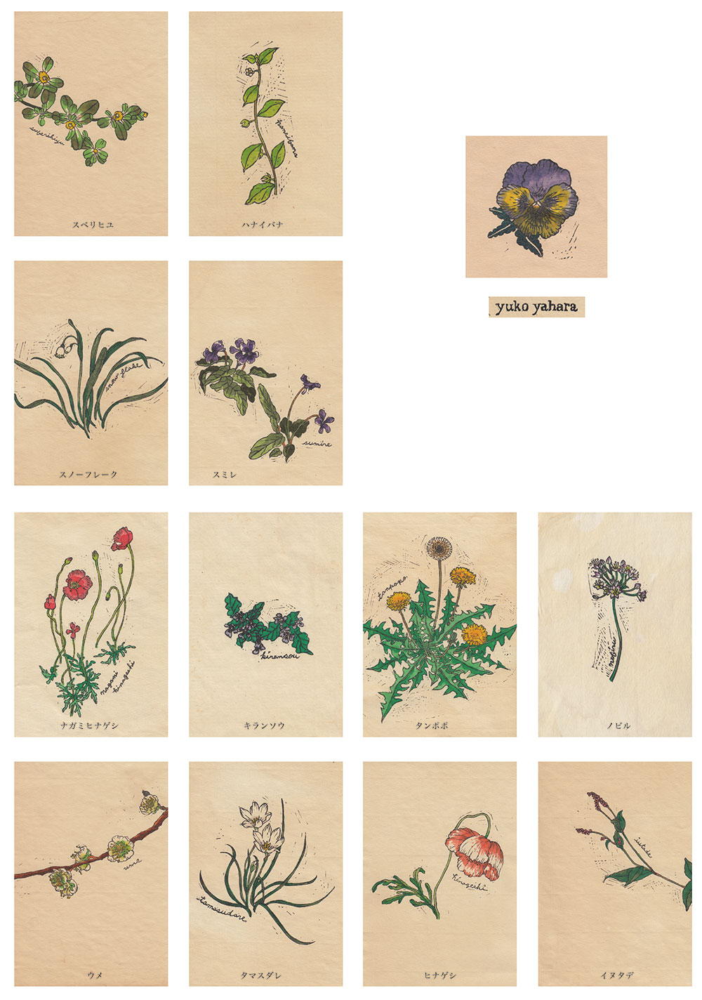野の花図鑑colors1
